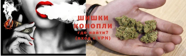 ешки Алзамай