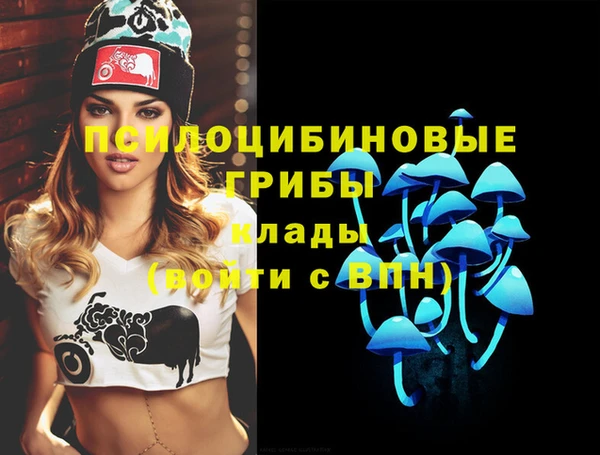 МДПВ Алексин