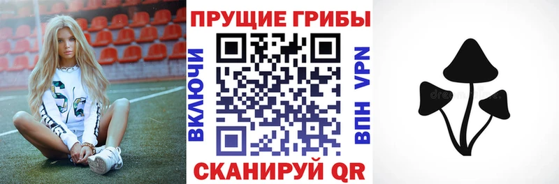 Псилоцибиновые грибы GOLDEN TEACHER  Томск 